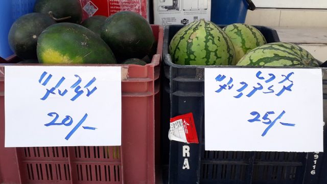20190508_125839.jpg