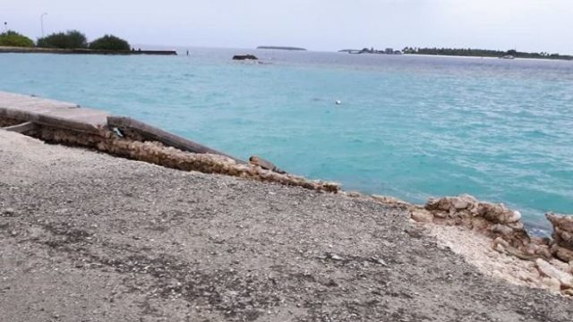 Capture-4.jpg