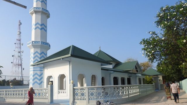 DSCN1354.jpg