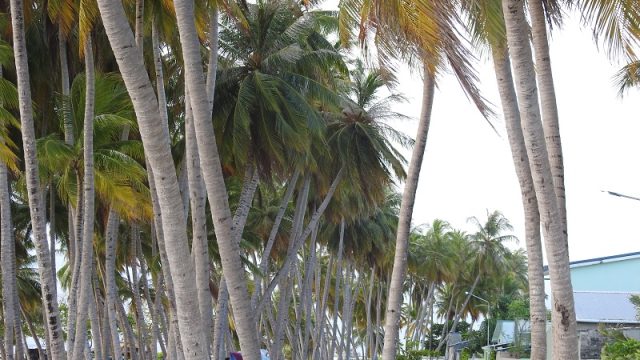 DSCN1654.jpg