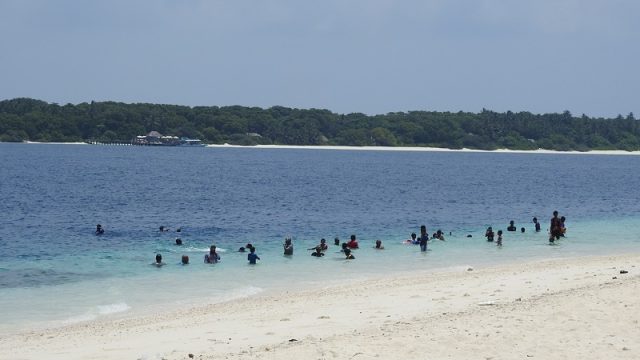 DSCN2020.jpg