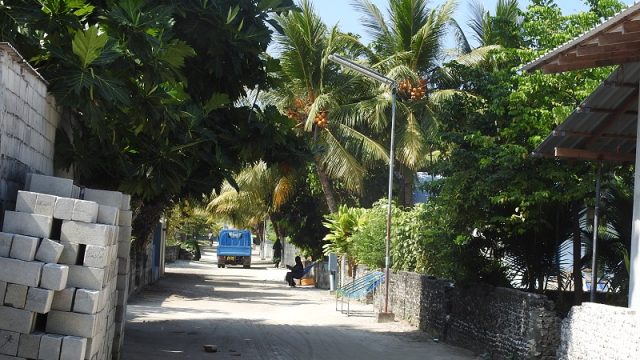 DSCN2360.jpg
