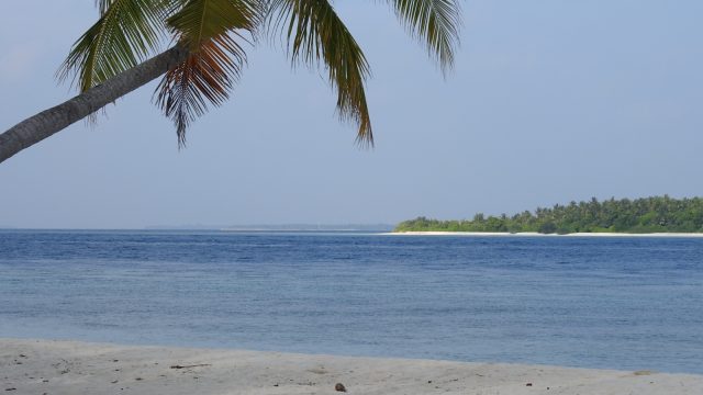 DSCN2531-1.jpg