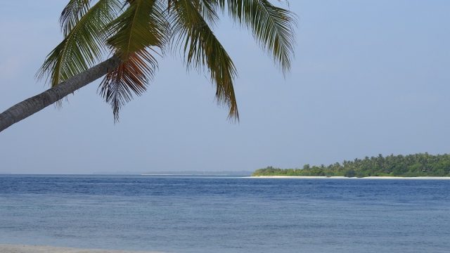DSCN2531.jpg