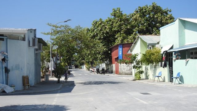 DSCN2959.jpg