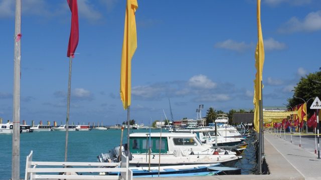 DSCN3184.jpg