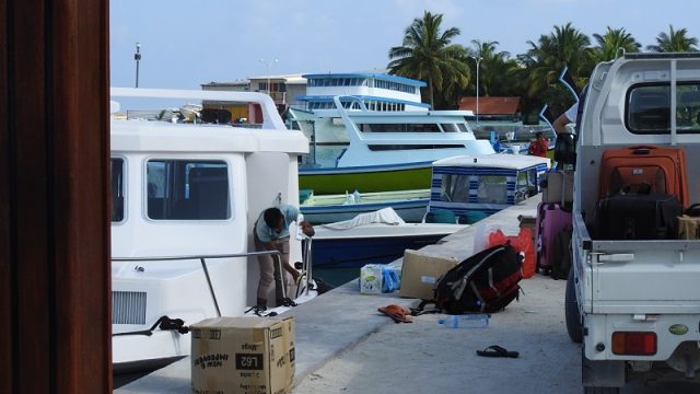 DSCN3341.jpg