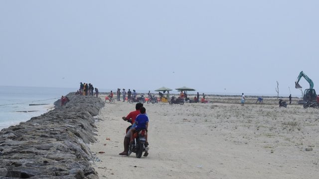 DSCN3526.jpg