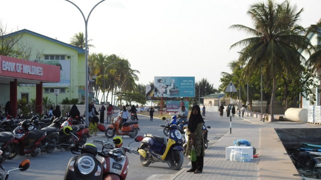 DSCN3853.jpg