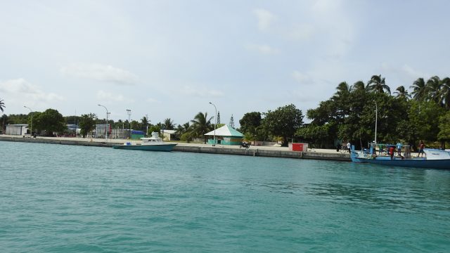 DSCN4233.jpg