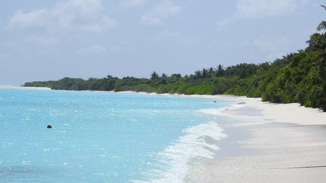 DSCN4480.jpg
