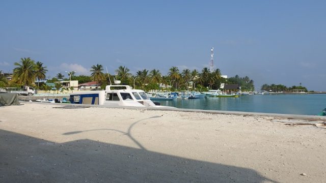 DSCN4977-1.jpg