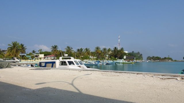 DSCN4977.jpg