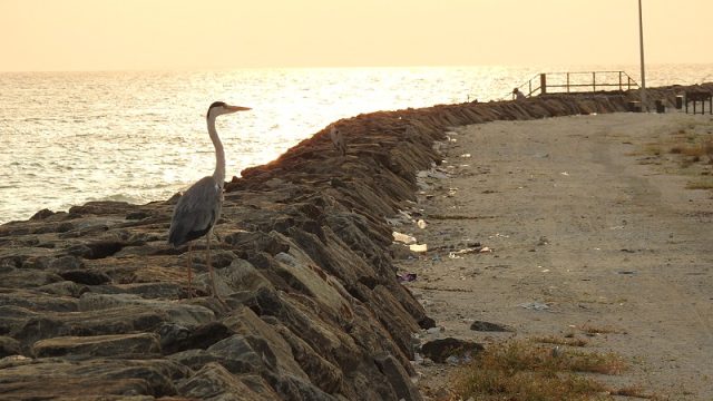 DSCN5352.jpg