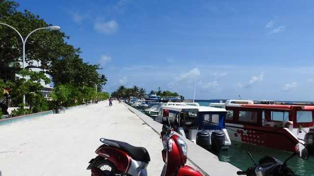 DSCN6121.jpg