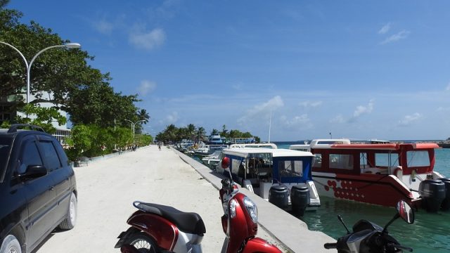 DSCN6122-1.jpg
