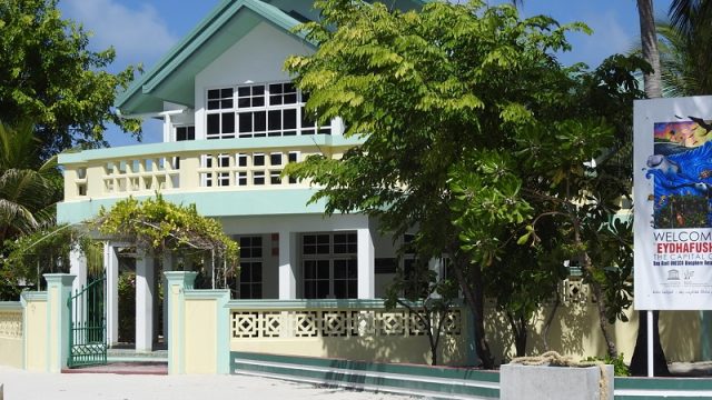 DSCN6125.jpg
