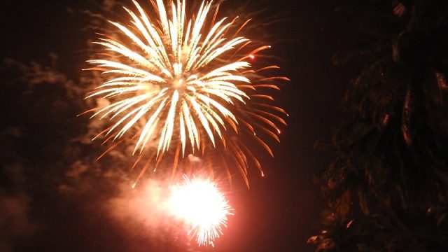 DSCN7155.jpg