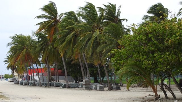 DSCN7568.jpg