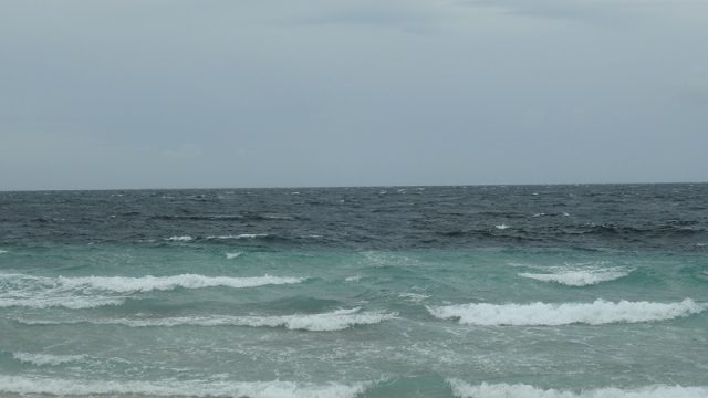 DSCN7572.jpg