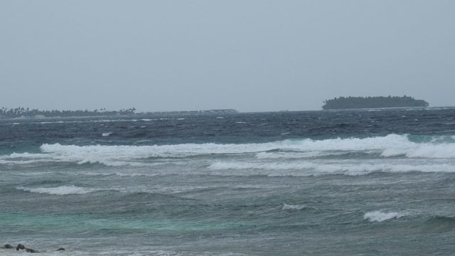 DSCN7576-800x498-800x498.jpg