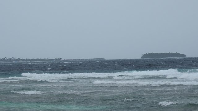 DSCN7576.jpg