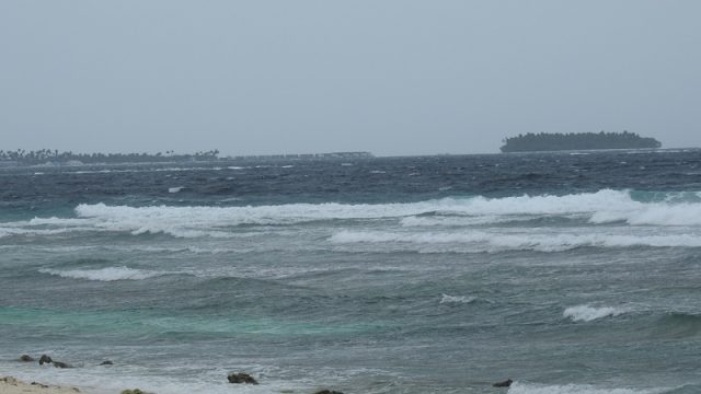 DSCN7576.jpg