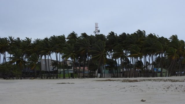 DSCN7583.jpg