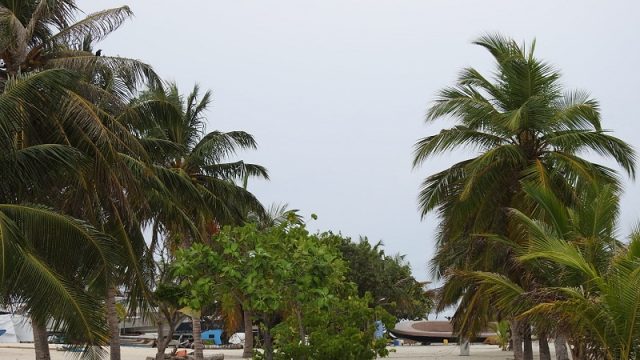 DSCN7780.jpg