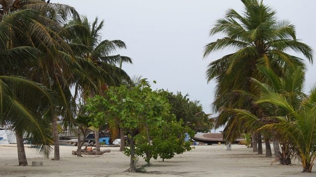DSCN7780.jpg