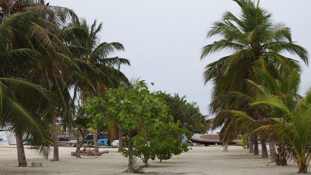 DSCN7780.jpg