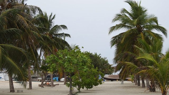 DSCN7780.jpg