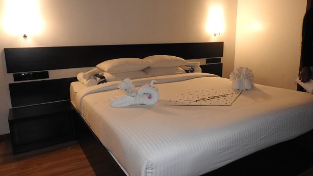 DSCN8141.jpg