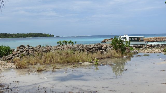 DSCN8290.jpg