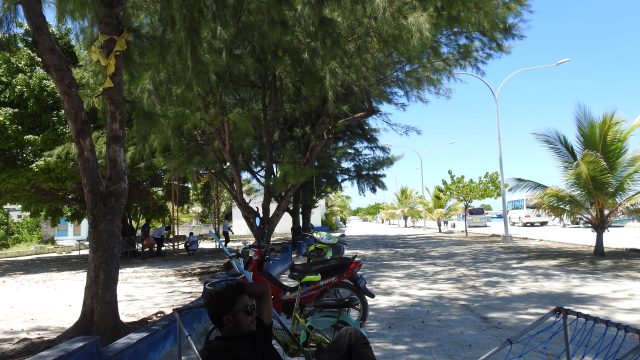 DSCN9174.jpg