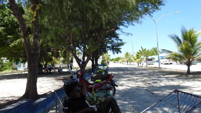 DSCN9174.jpg