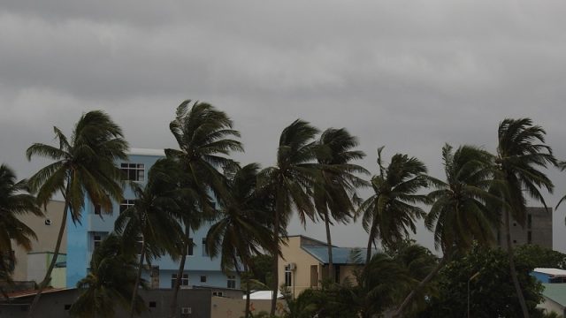 DSCN9361.jpg