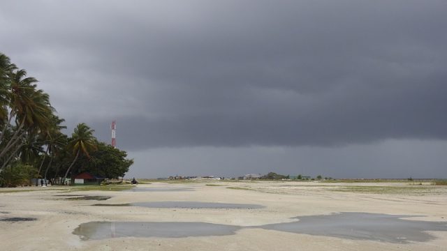 DSCN9382.jpg