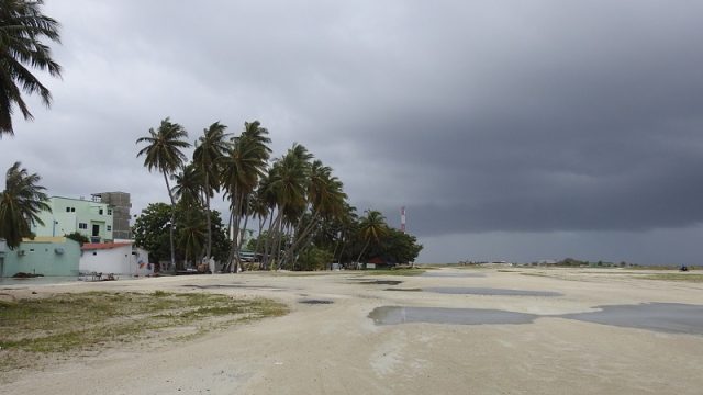 DSCN9383.jpg