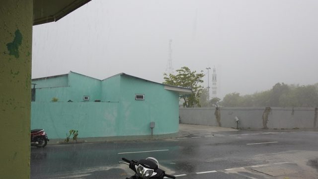 DSCN9667.jpg
