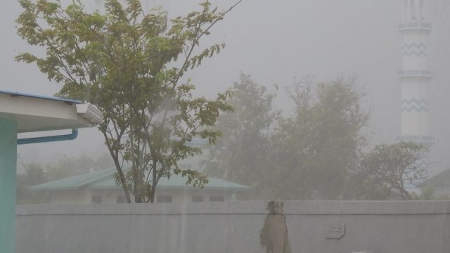 DSCN9825.jpg