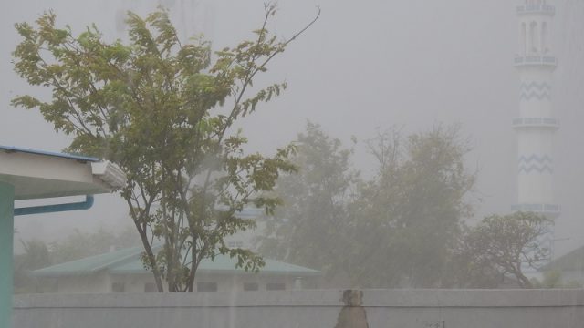 DSCN9825.jpg