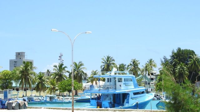 DSCN9874.jpg