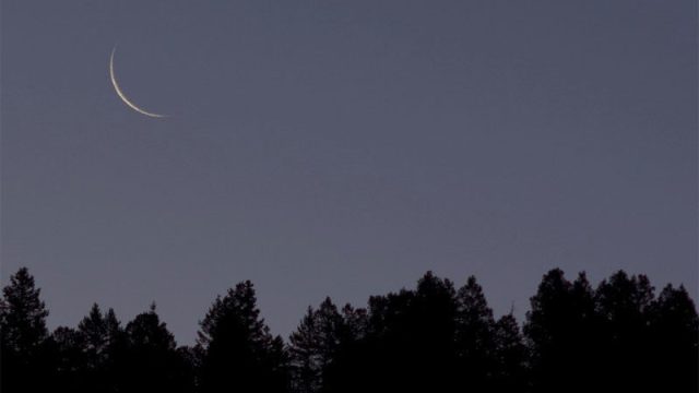 Eid-Moon-800x480-800x480.jpg