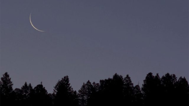 Eid-Moon.jpg
