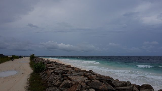 IMG_20200530_175923266.jpg