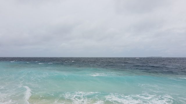 IMG_20200724_134101732.jpg