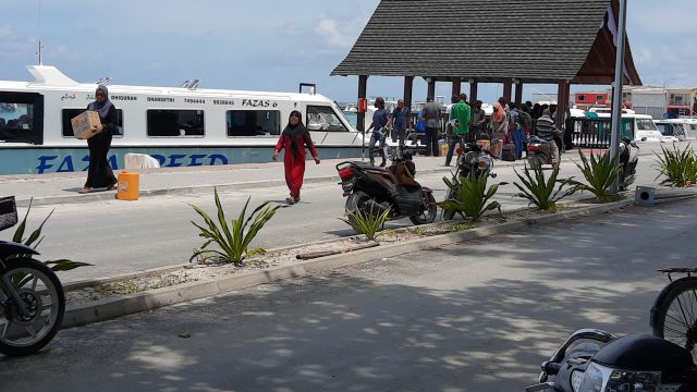 IMG_20200929_123943379.jpg