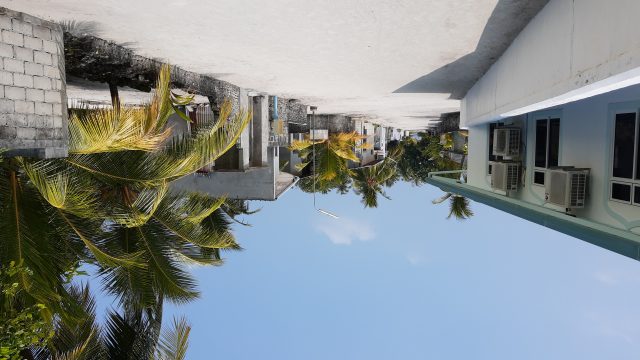 IMG_20210206_125013000.jpg