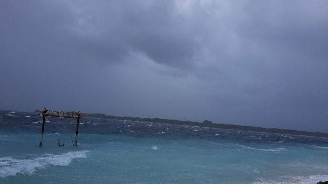 IMG_20220514_120657066.jpg
